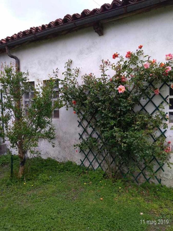 Beb Infamiglia Bed & Breakfast Cascinette ภายนอก รูปภาพ